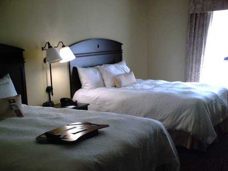 Hampton Inn Vidalia Habitación foto